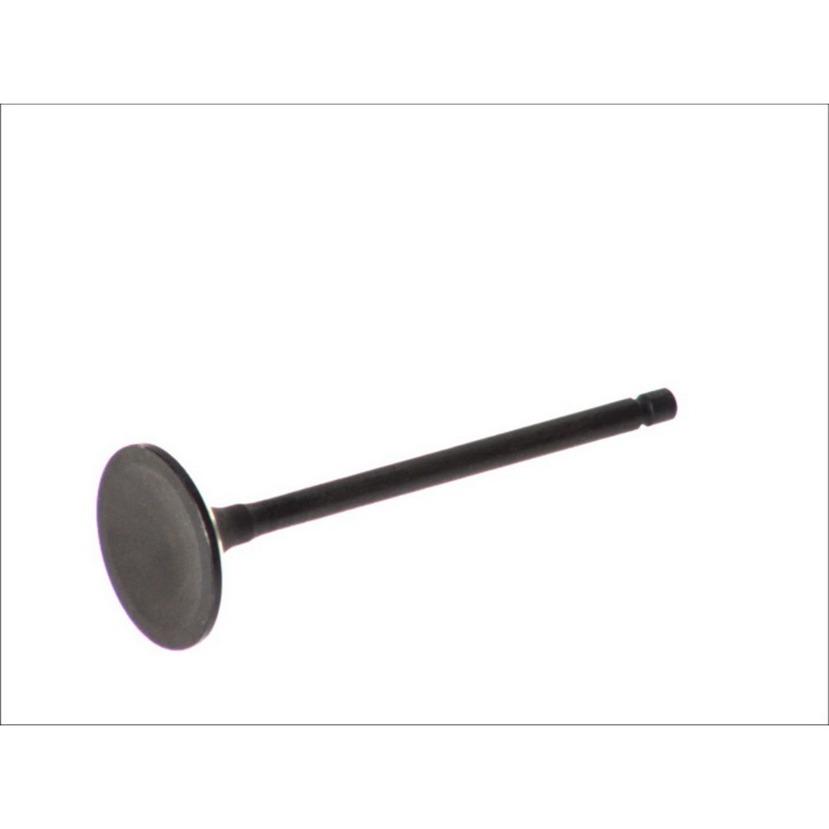 Imuventtiili FRECCIA R6484/SNT