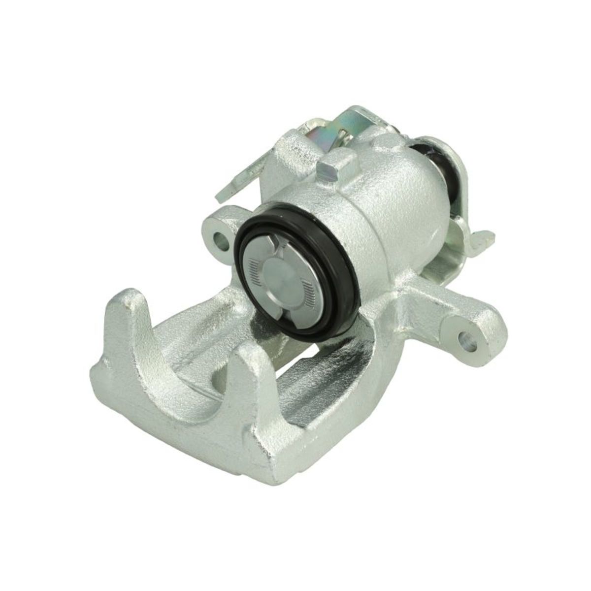 Jarrusatula BUDWEG CALIPER 343976