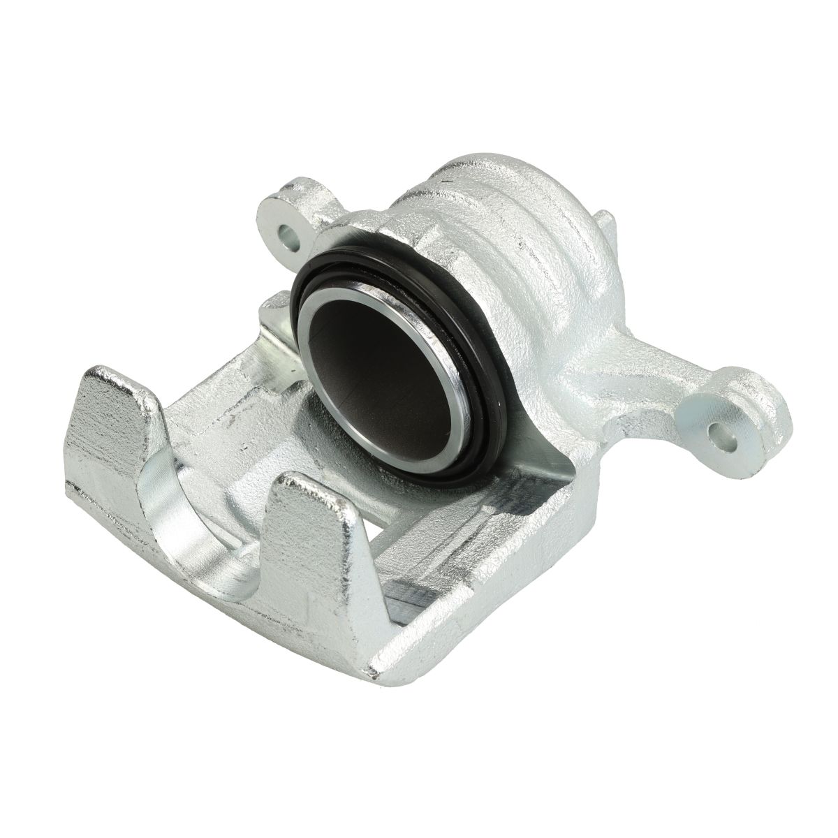 Jarrusatula BUDWEG CALIPER 345574