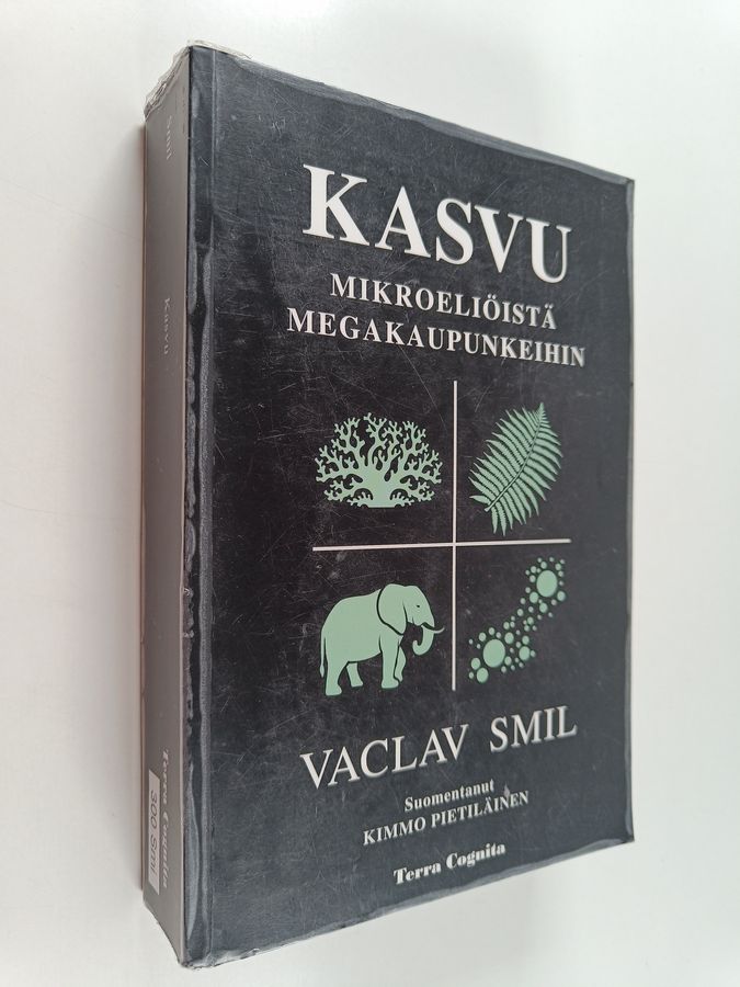 Kasvu