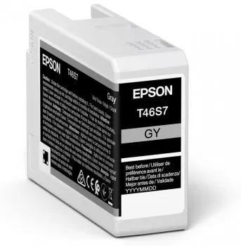 Epson Muste Harmaa 25ml - Sc P700