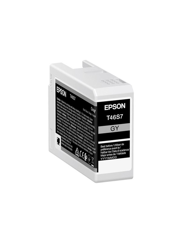 Epson Muste Harmaa 25ml - Sc P700