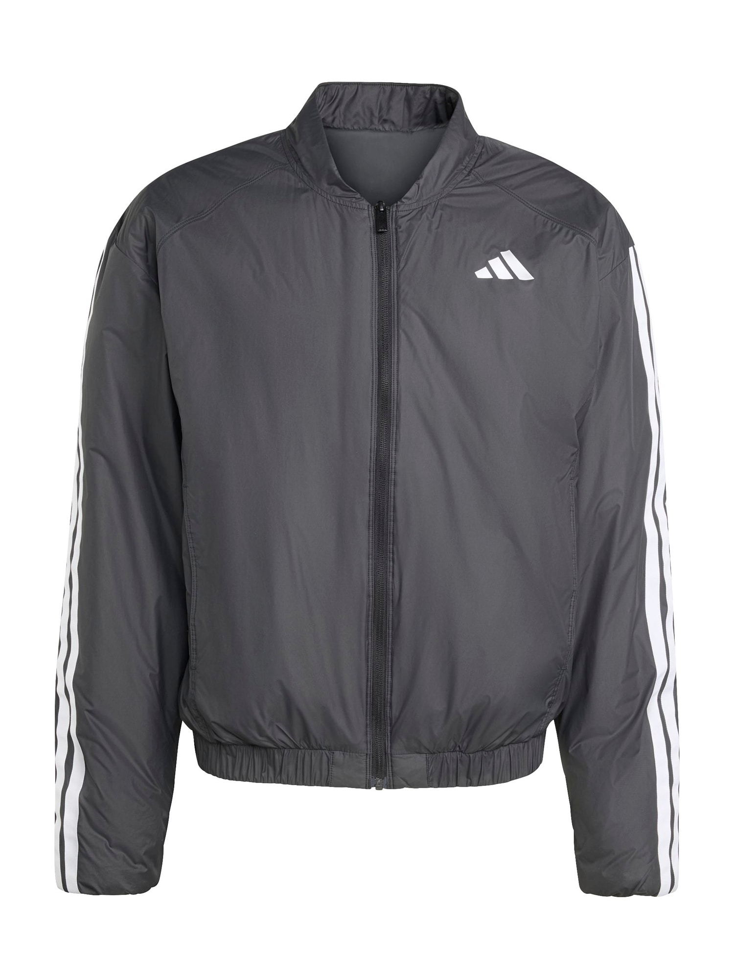 Pusakka adidas Essentials CLIMAWARM 3-Stripes Insulated Bomber Jackets EU S