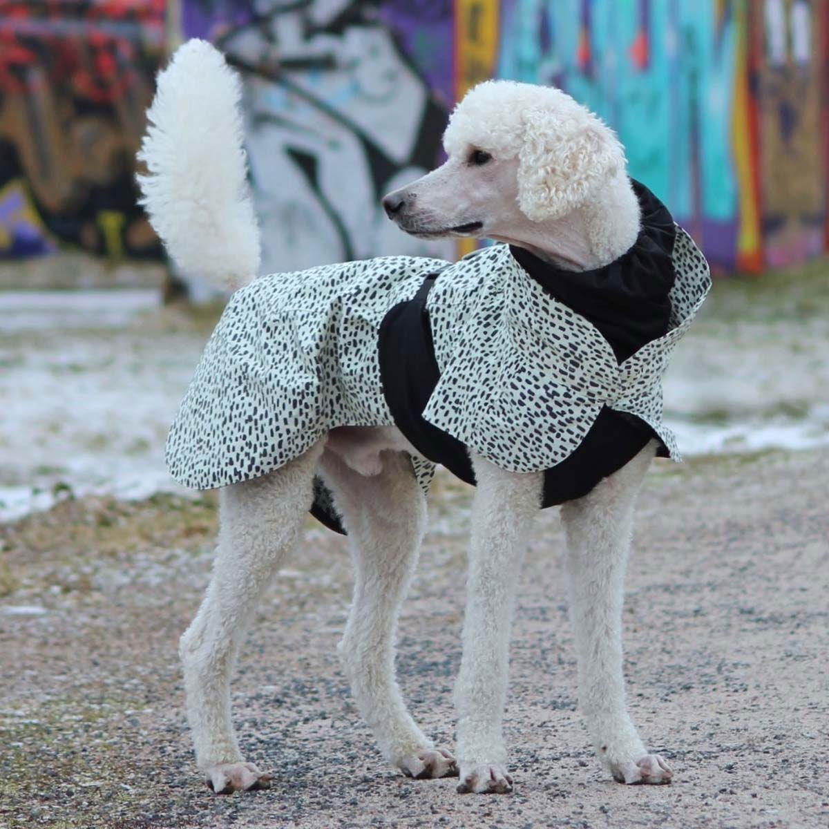 PAIKKA Heijastava sadetakki 2.0