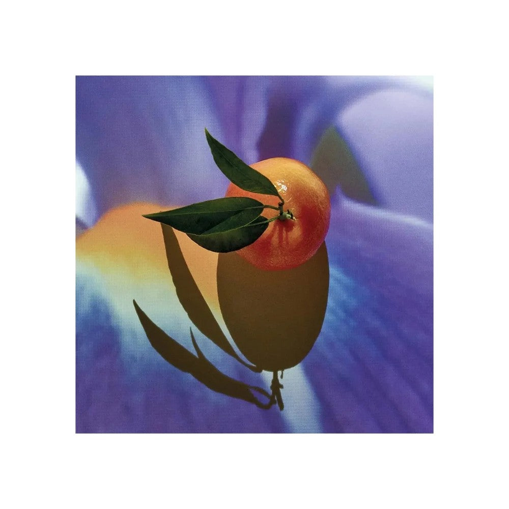 Loewe Solo Elixir Eau de Parfum miehille 50ml