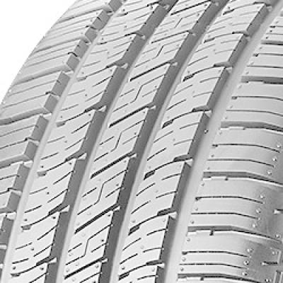 Bridgestone Turanza ER 42 RFT ( 245/50 R18 100W *, EVc, runflat )