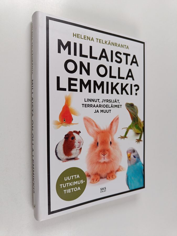 Millaista on olla lemmikki?