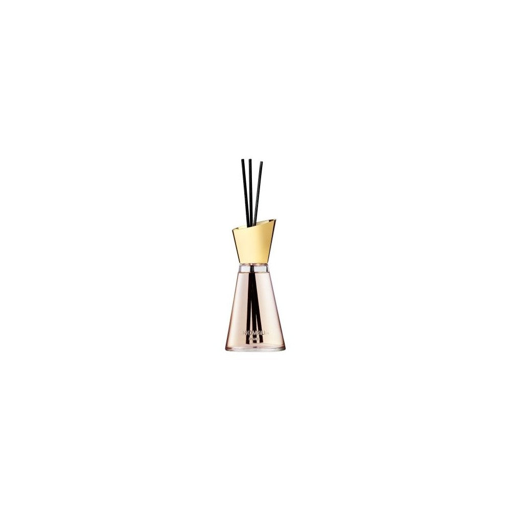 Anomalia Leather Bookbiding Room Diffuser 200ml