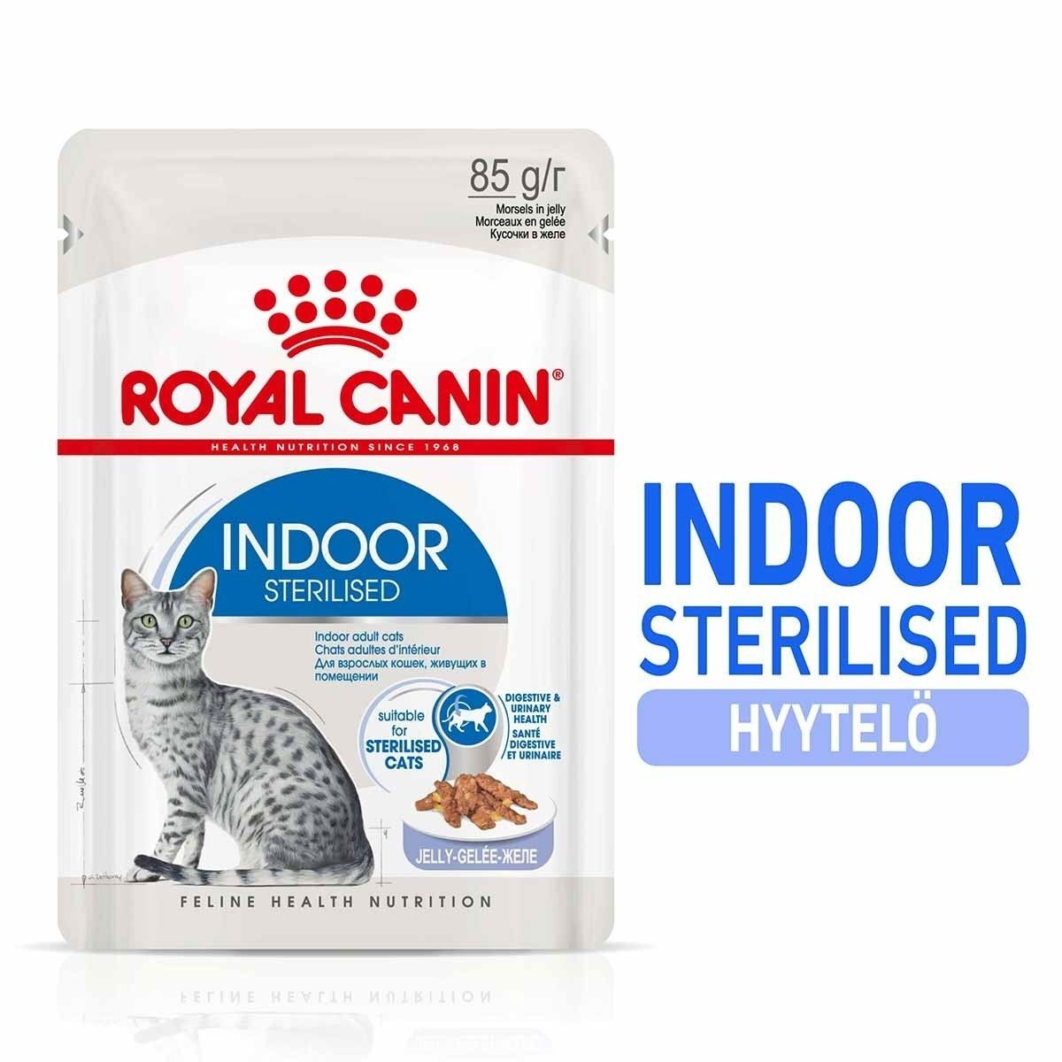 Royal Canin Indoor Sterilised Morsels in Jelly, Kissan märkäruoka, Adult, 12 x 85 g