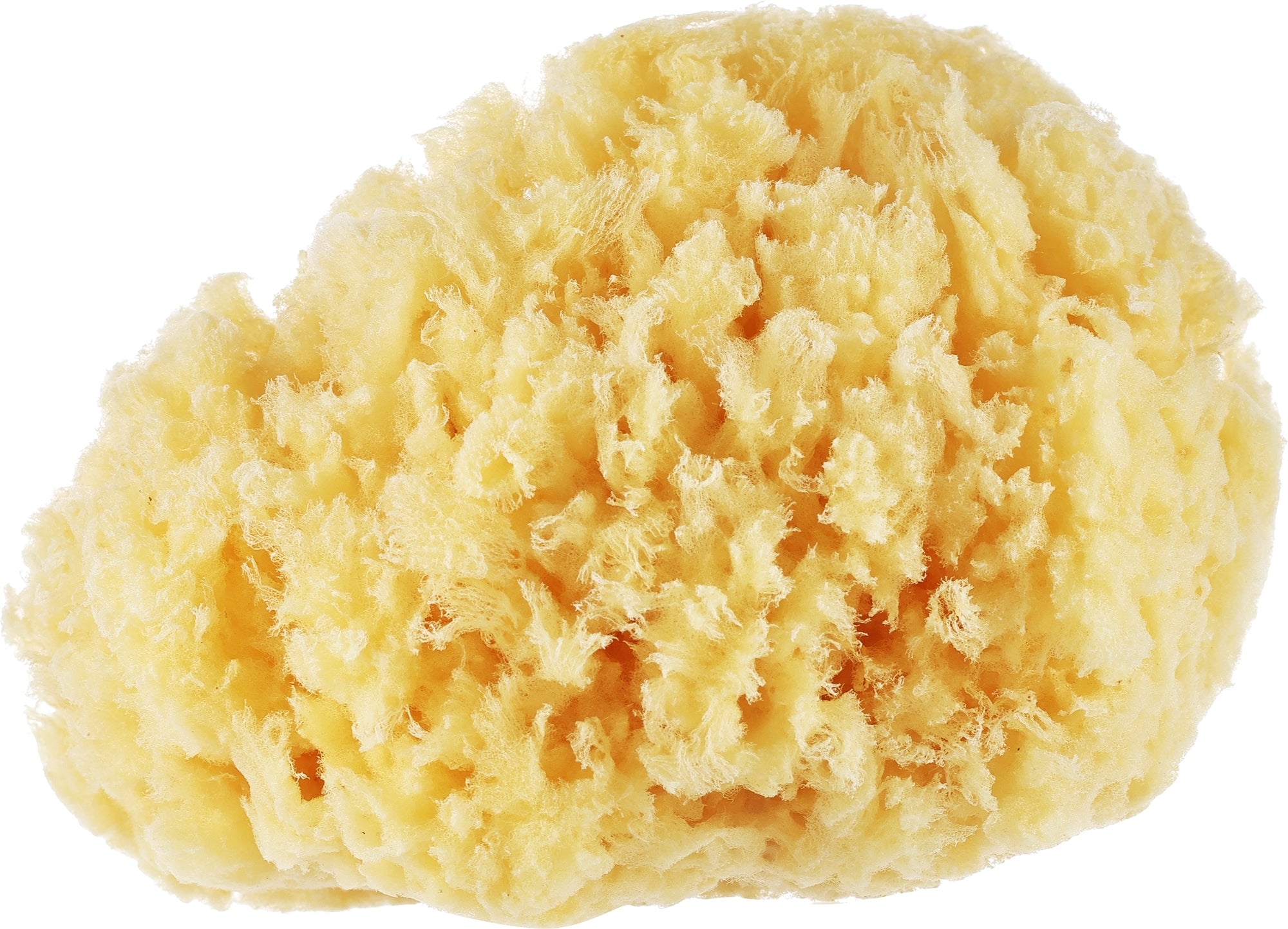 Suavipiel Natural Sea Sponge — luonnollinen merisieni kylpyyn