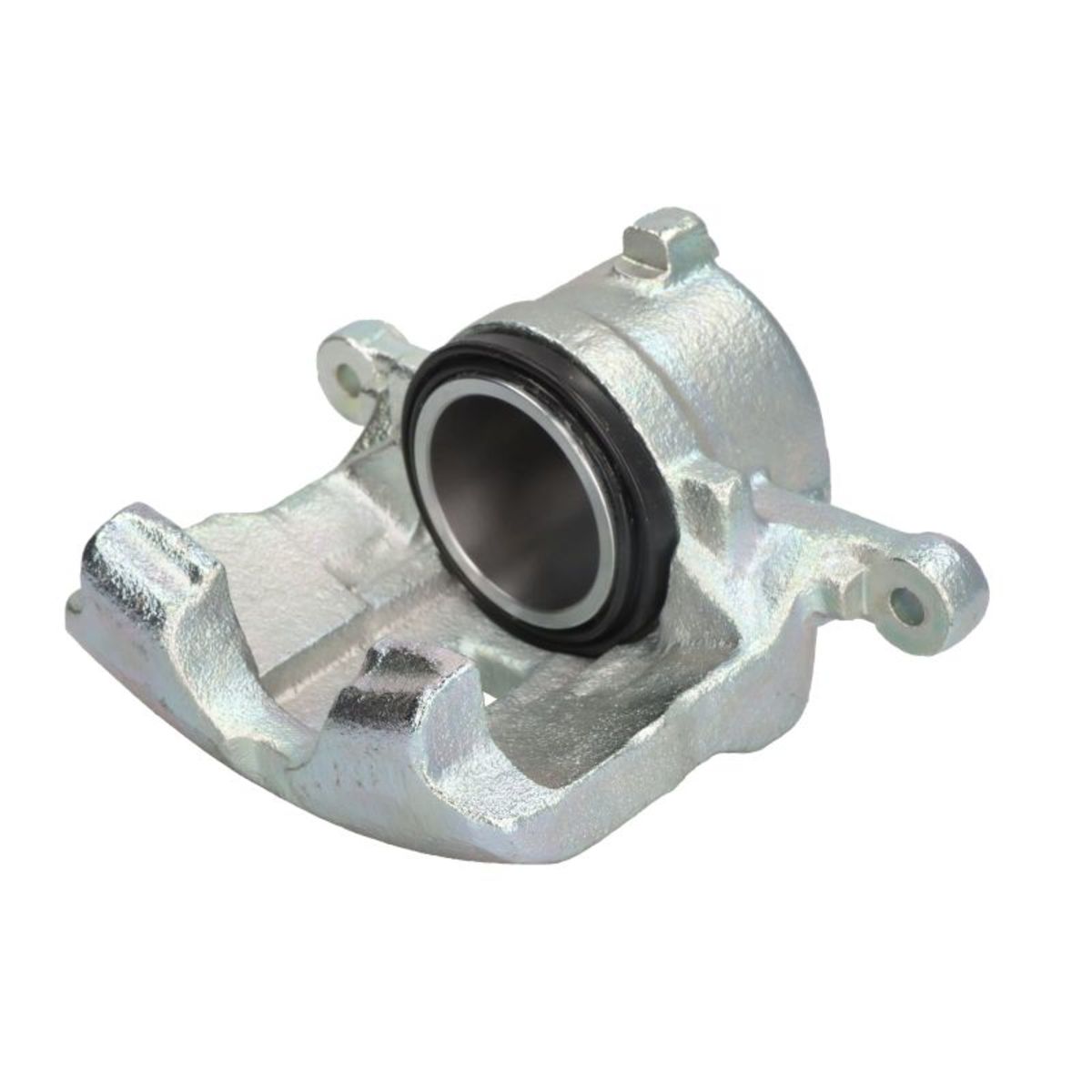 Jarrusatula BUDWEG CALIPER 342815