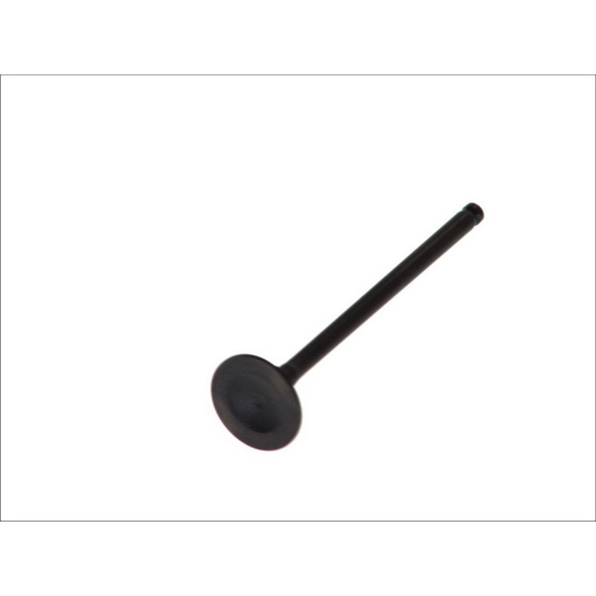 Pakoventtiili FRECCIA R6073/RNT