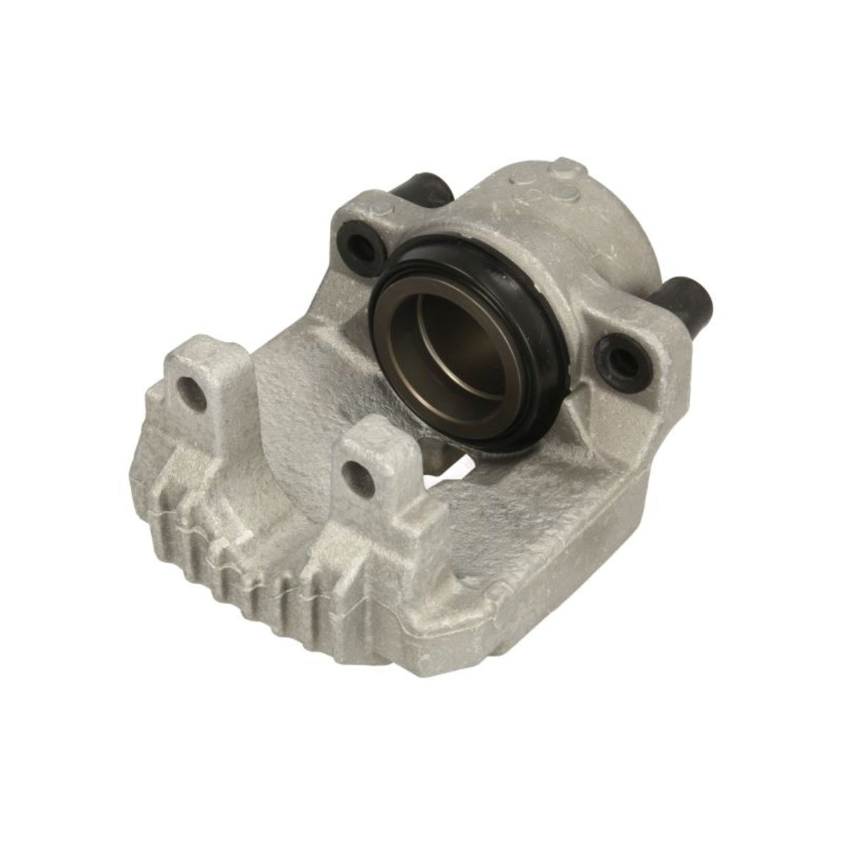 Jarrusatula BUDWEG CALIPER 343407