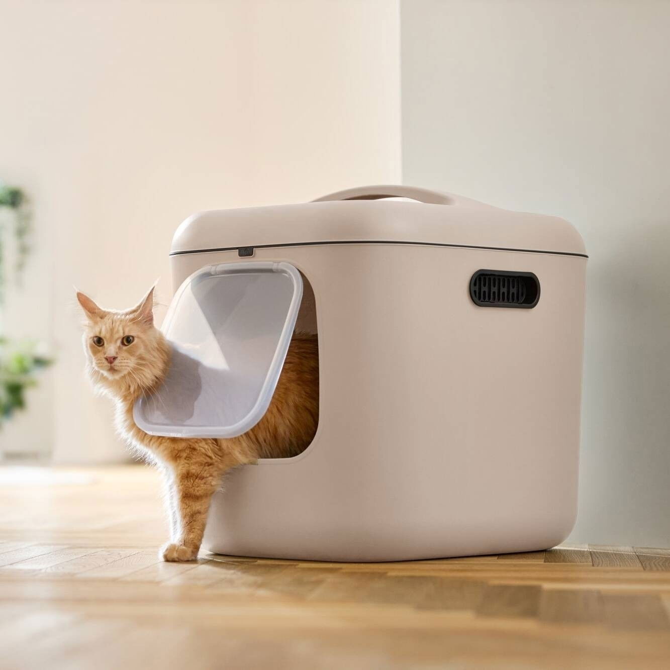 rotho Biala XL Cappuccino - cat litter box