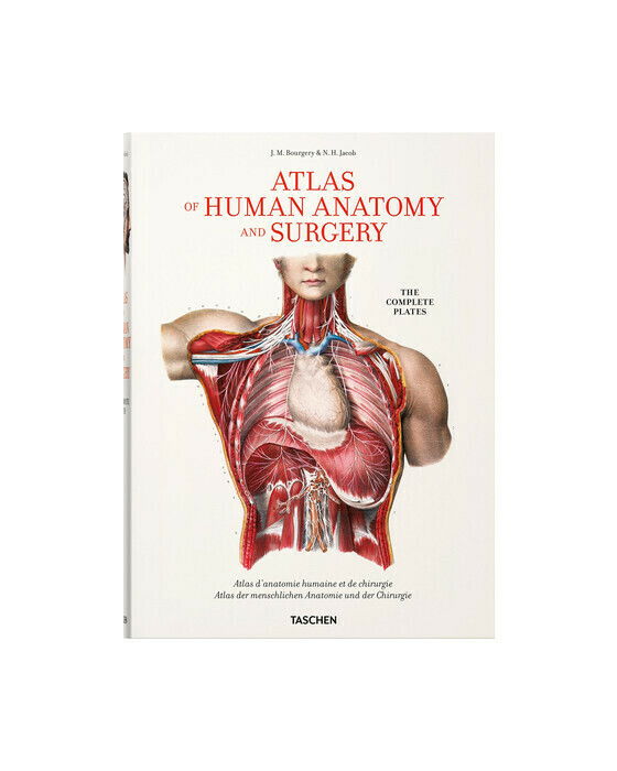 Atlas of Human Anatomi XL