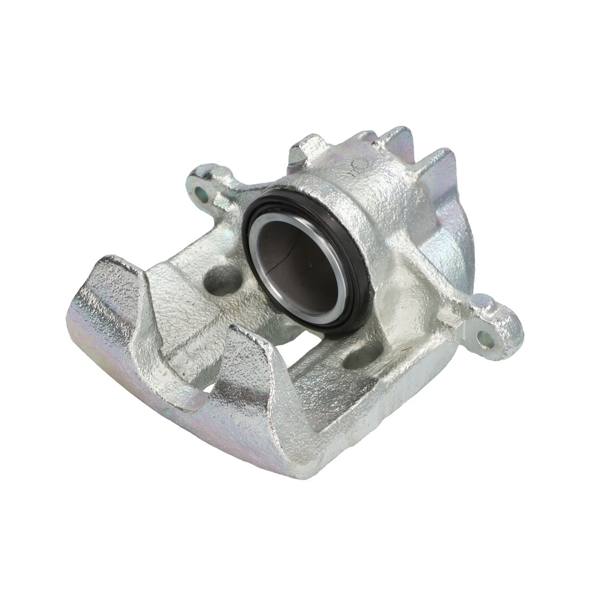 Jarrusatula BUDWEG CALIPER 342854