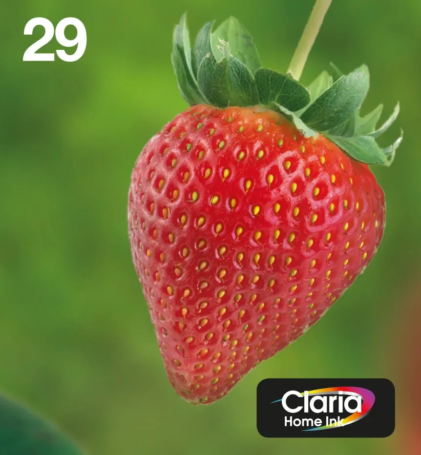 Epson Strawberry Multipack 4-colours 29 EasyMail, Perusvärintuotto, Musta, Syaani, Magenta, Keltainen, 5,3 ml, 3,2 ml, 1 kpl, Monipakkaus