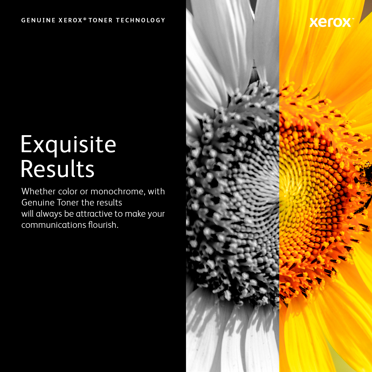 Xerox Värikasetti cyan 6.000 sivua 106R02229 Vastaa: N/A