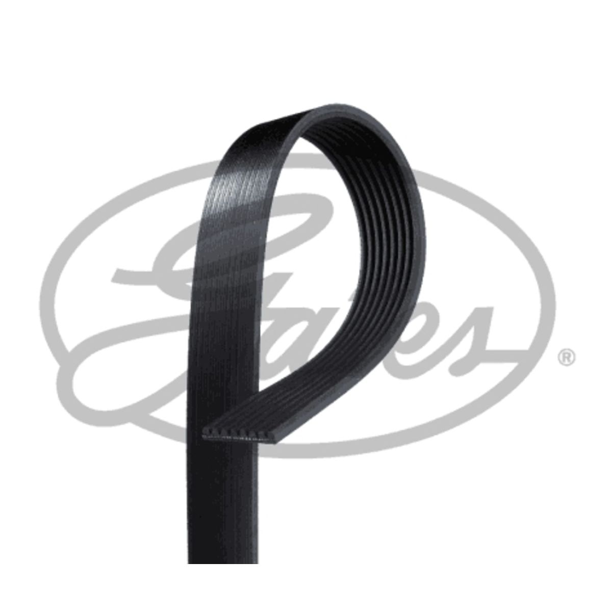 Moniurahihna GATES 8PK1314SFHD