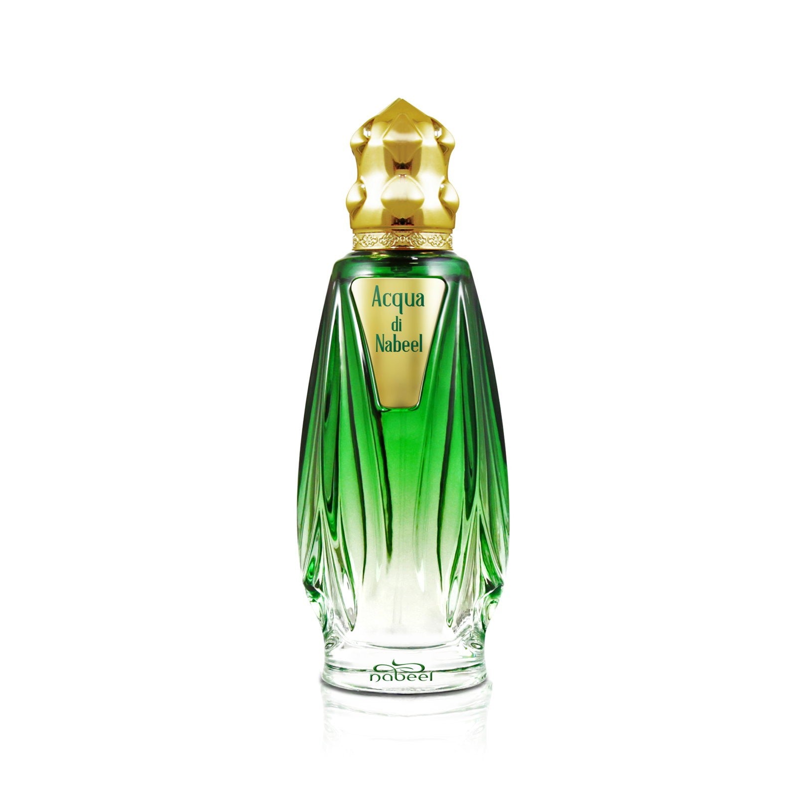 Nabeel Acqua Di Nabeel Eau De Parfum Spray 100 ml