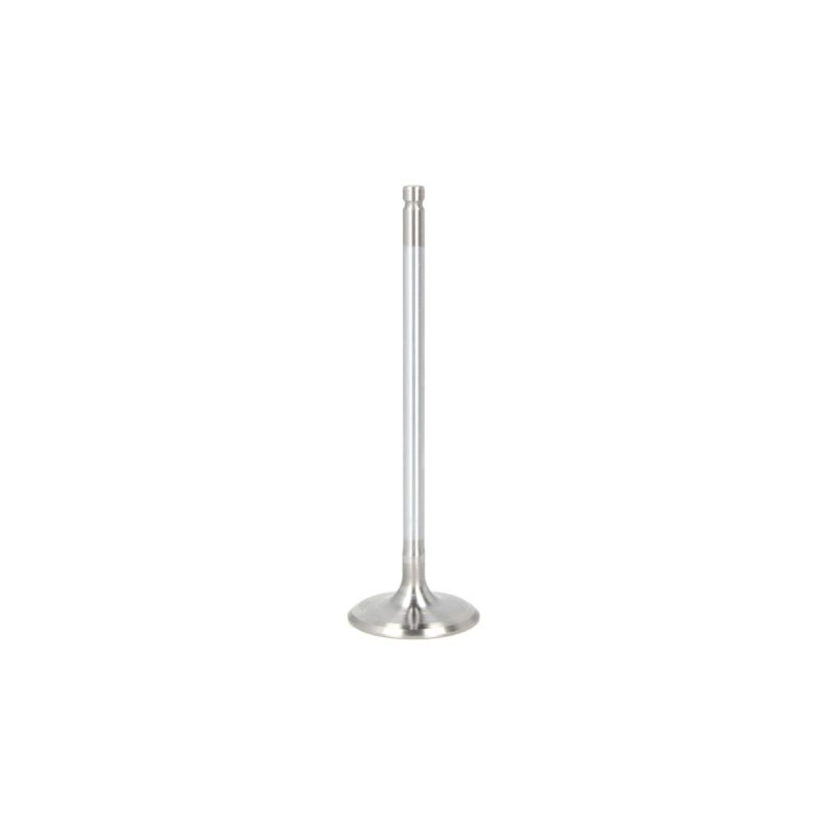 Imuventtiili FRECCIA R7028/SARCR