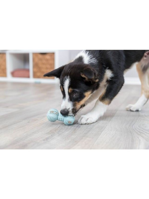 Trixie Junior Apport koiranpennun lelu, 9 cm