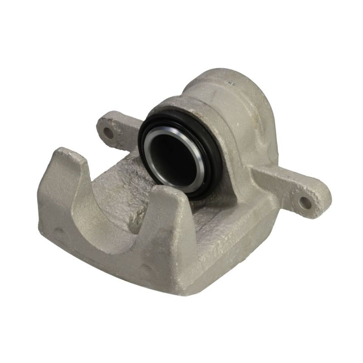 Jarrusatula BUDWEG CALIPER 343946