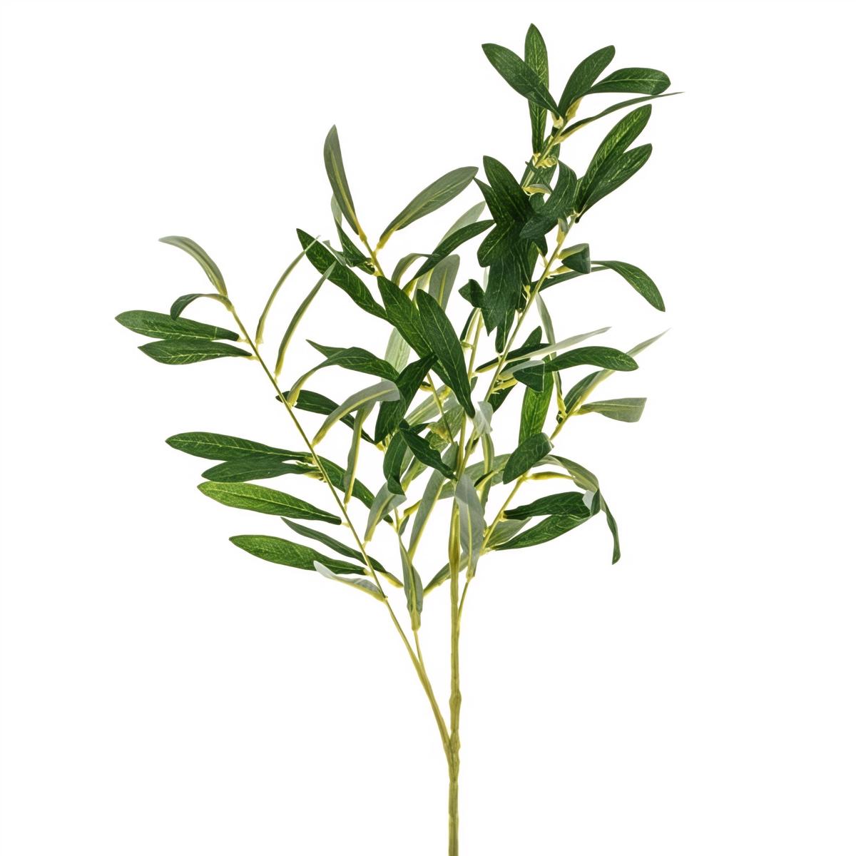 Tekokasvi - Oliivipuun oksa, 91 cm