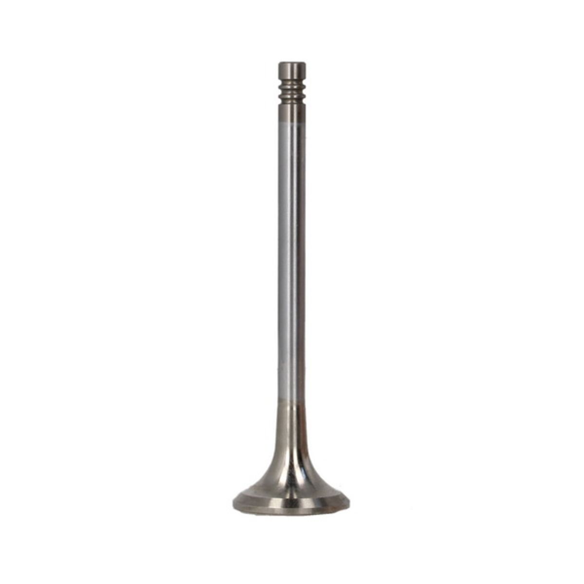 Pakoventtiili FRECCIA R6596/BMCR
