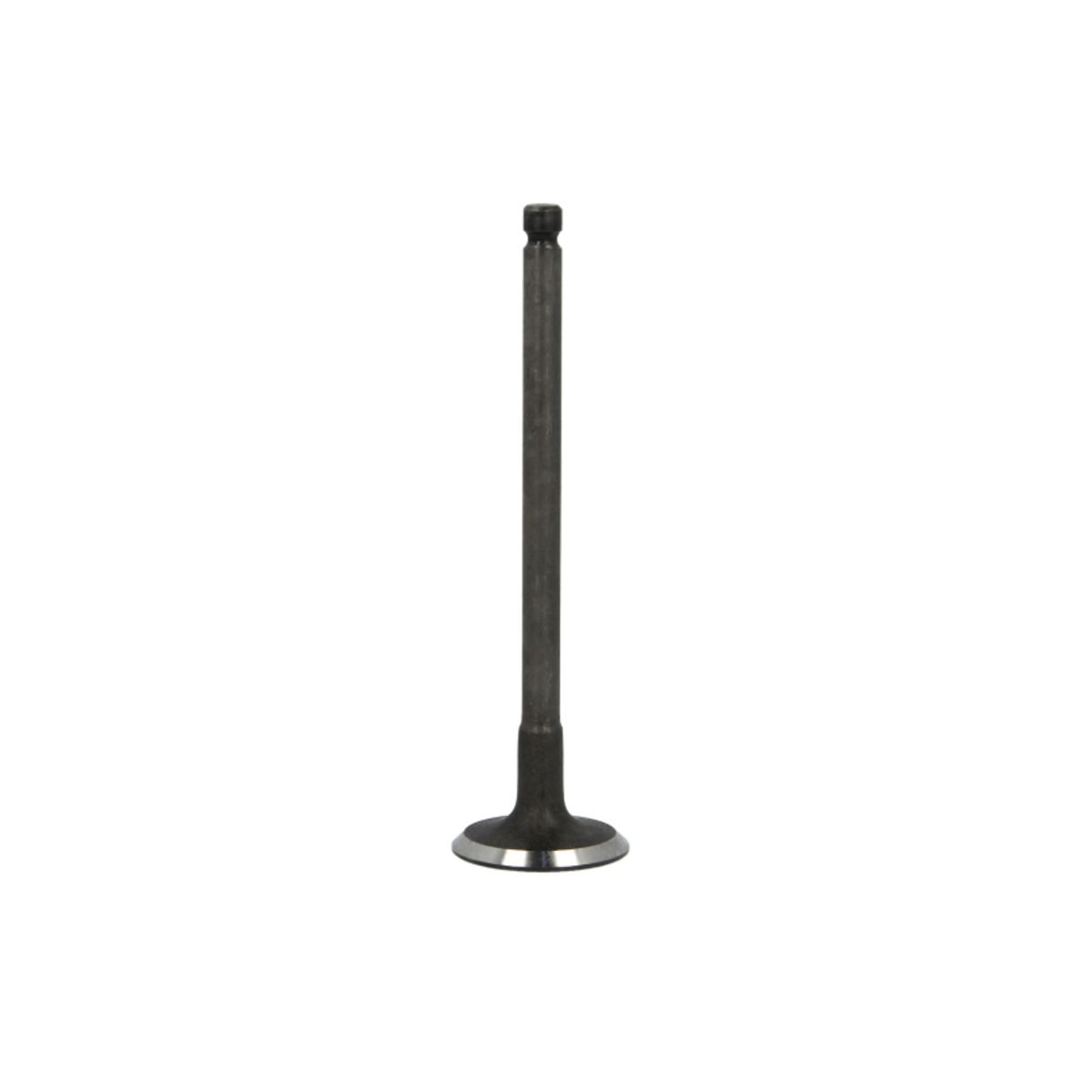 Imuventtiili FRECCIA R6250/SNT