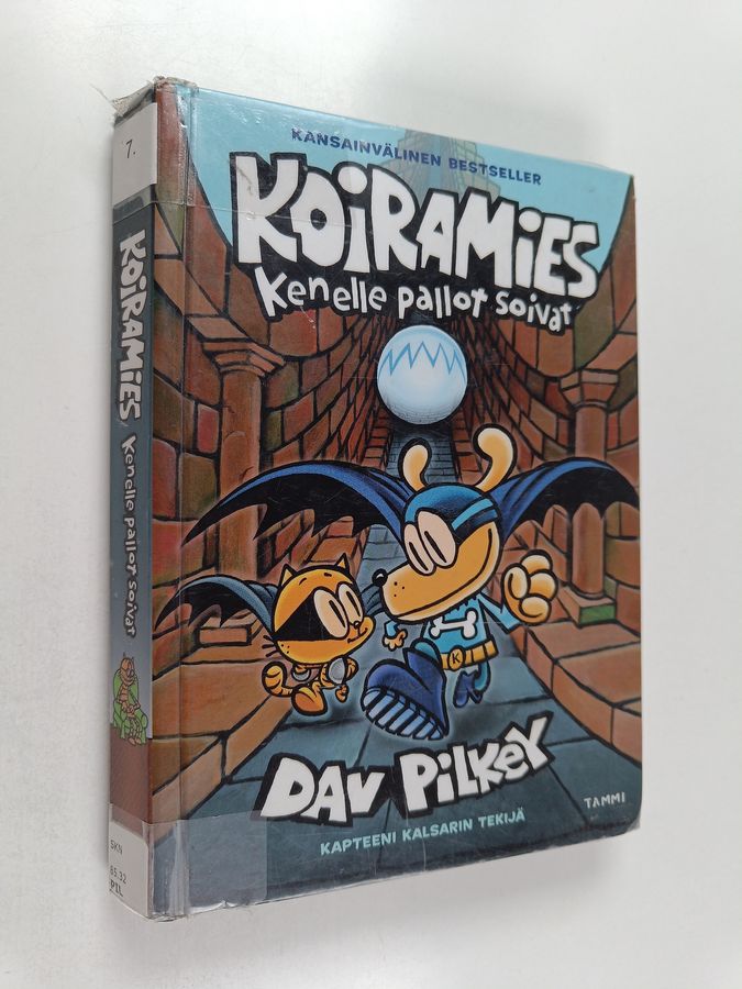 Koiramies - kenelle pallot soivat