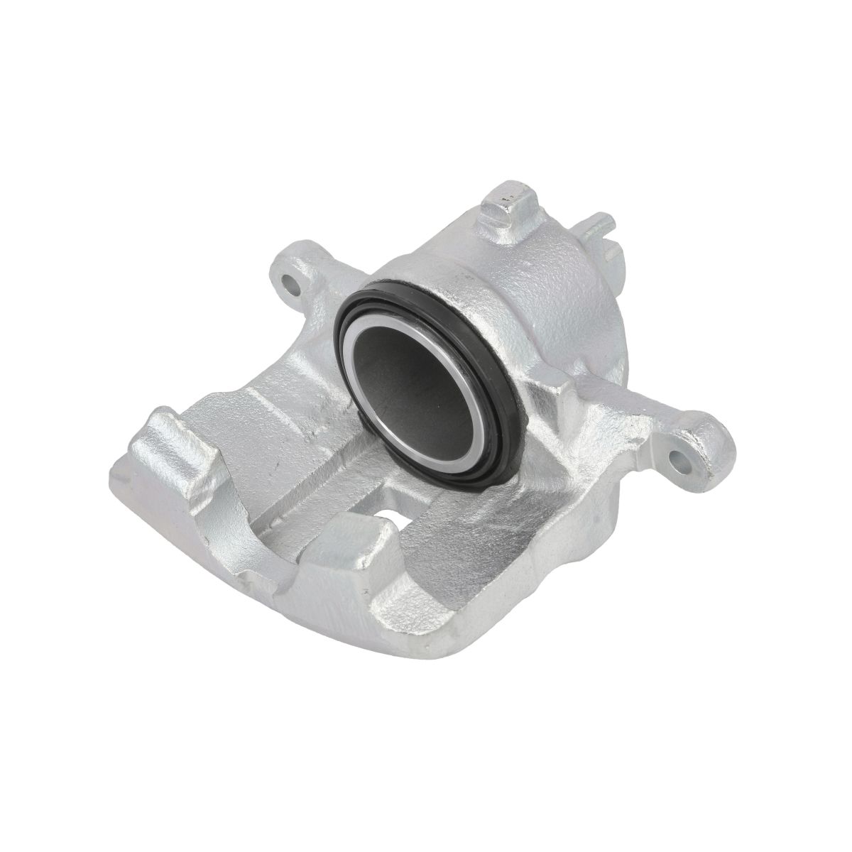 Jarrusatula BUDWEG CALIPER 342814