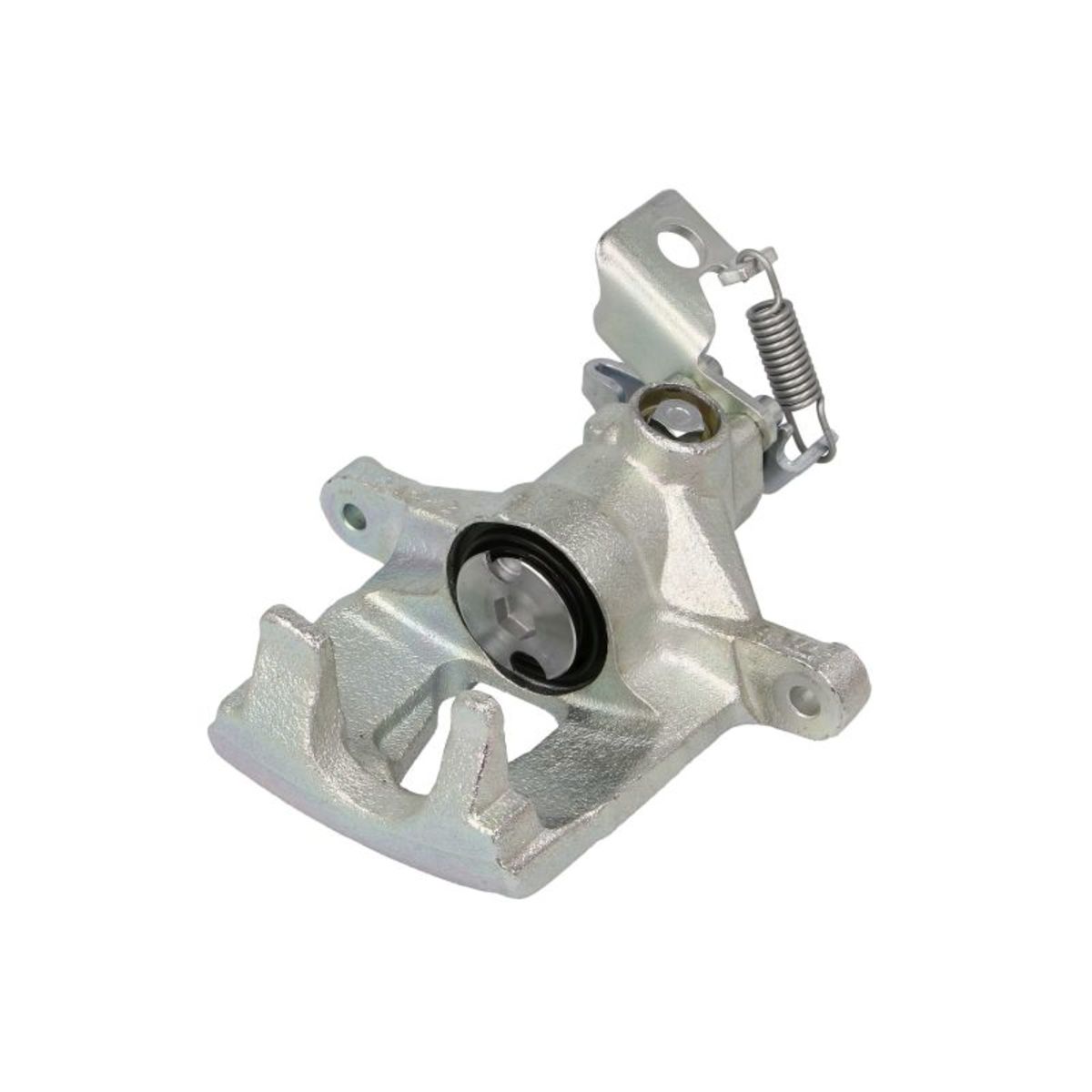 Jarrusatula BUDWEG CALIPER 343280