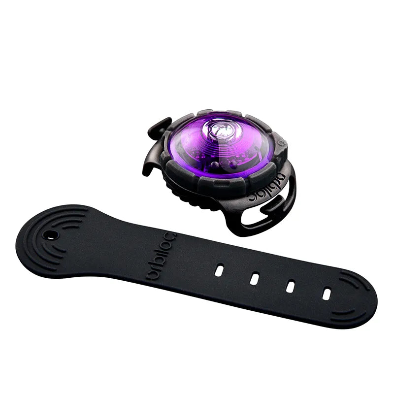 Orbiloc Dual Turvavalo, Lila