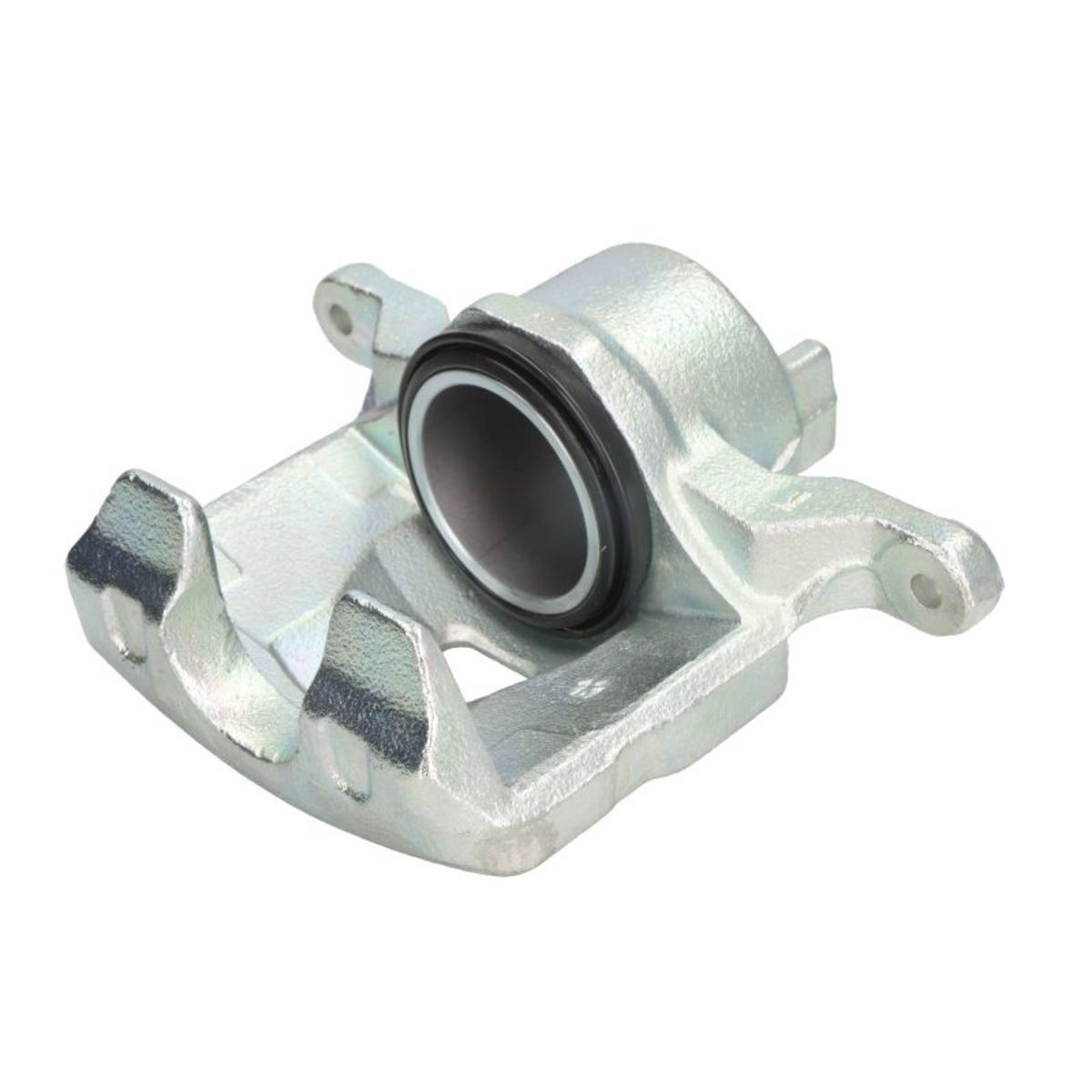 Jarrusatula BUDWEG CALIPER 344575