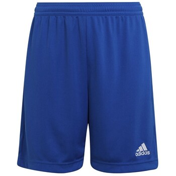 7/8 ja 3/4 housu adidas Entrada 22 EU M