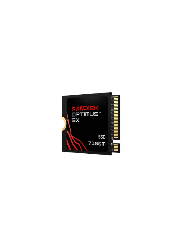 SANDISK Optimus GX 7100M SSD - 1TB - PCIe 4.0 - M.2 2230