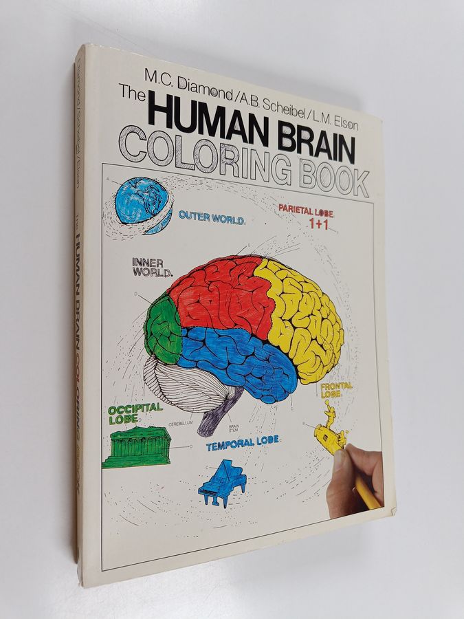 The Human Brain Coloring Book