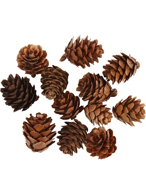 Creativ Company - Larch cones 12 pcs.