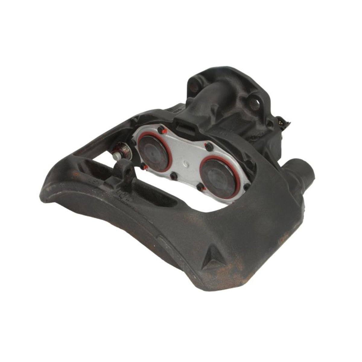 Jarrusatula SBP TEQ-DF.002