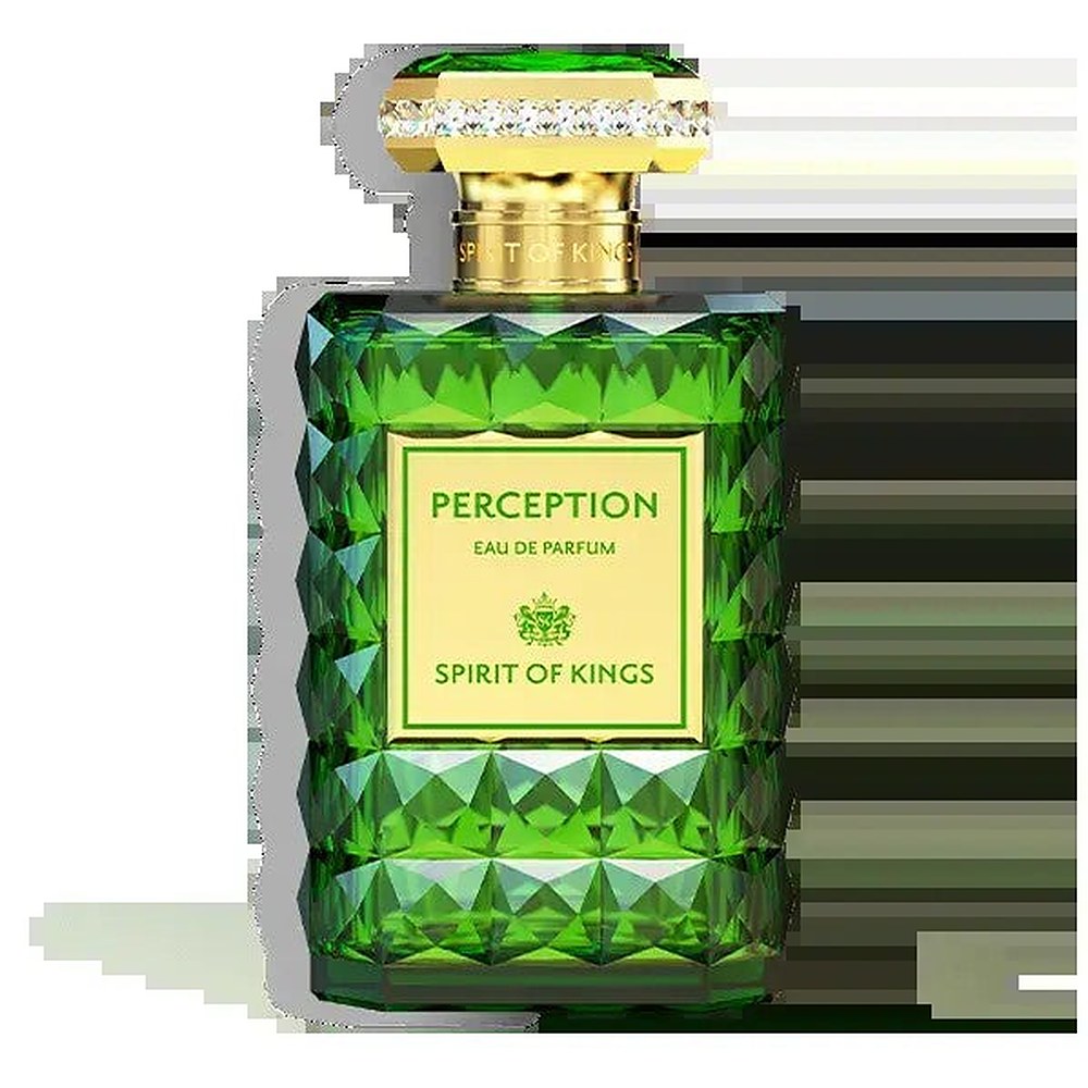 Perception Spirit of Kings unisex-hajuvesi - 100 ml
