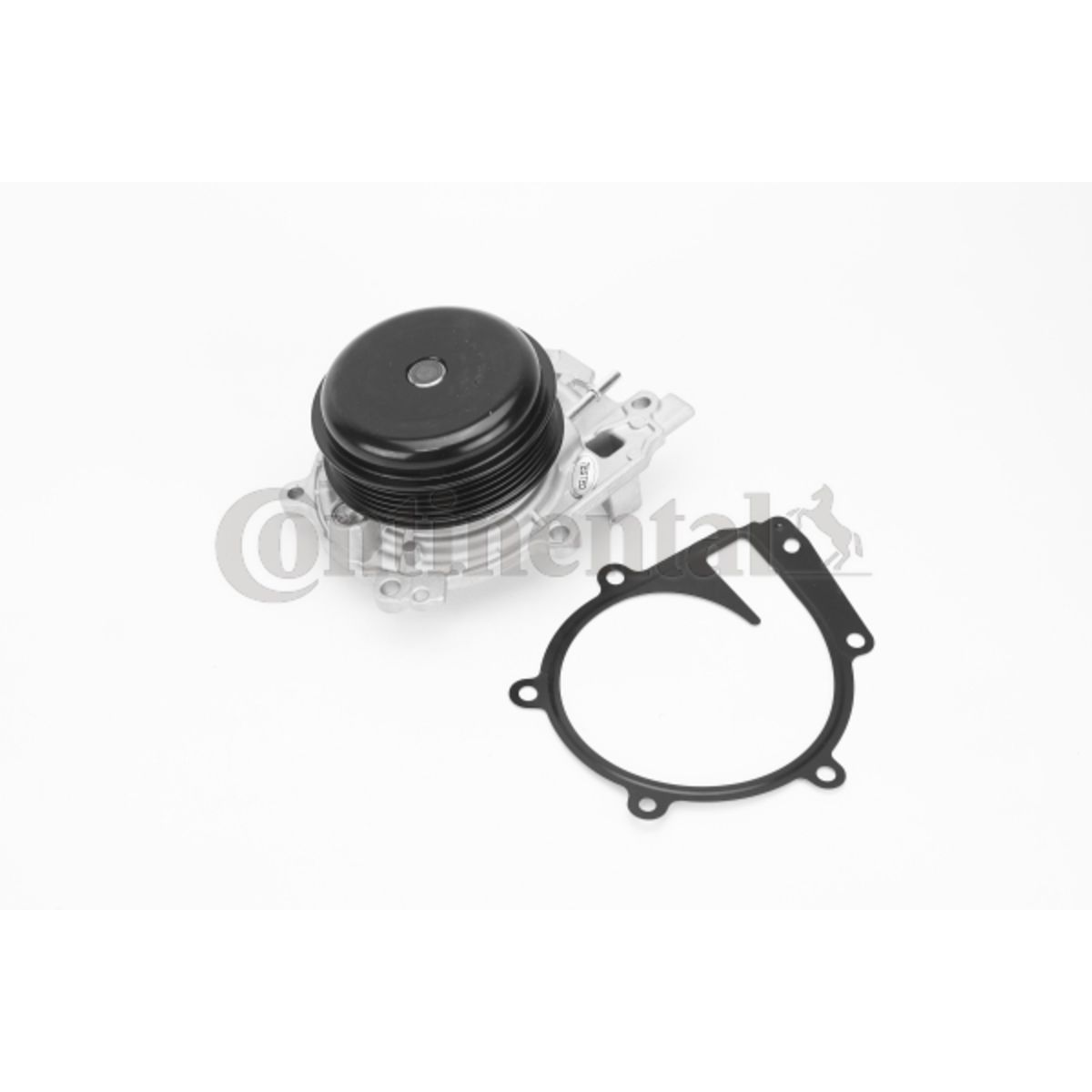 Vesipumppu CONTITECH WPS3187