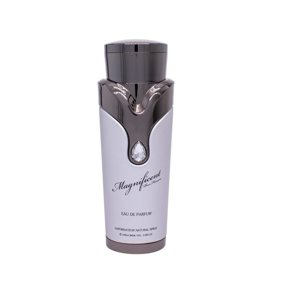 Armaf Magnificent Homme - EDP - Tilavuus: 100 ml