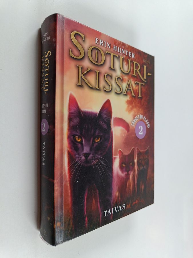 Soturikissat: Tähdetön klaani 2: Taivas