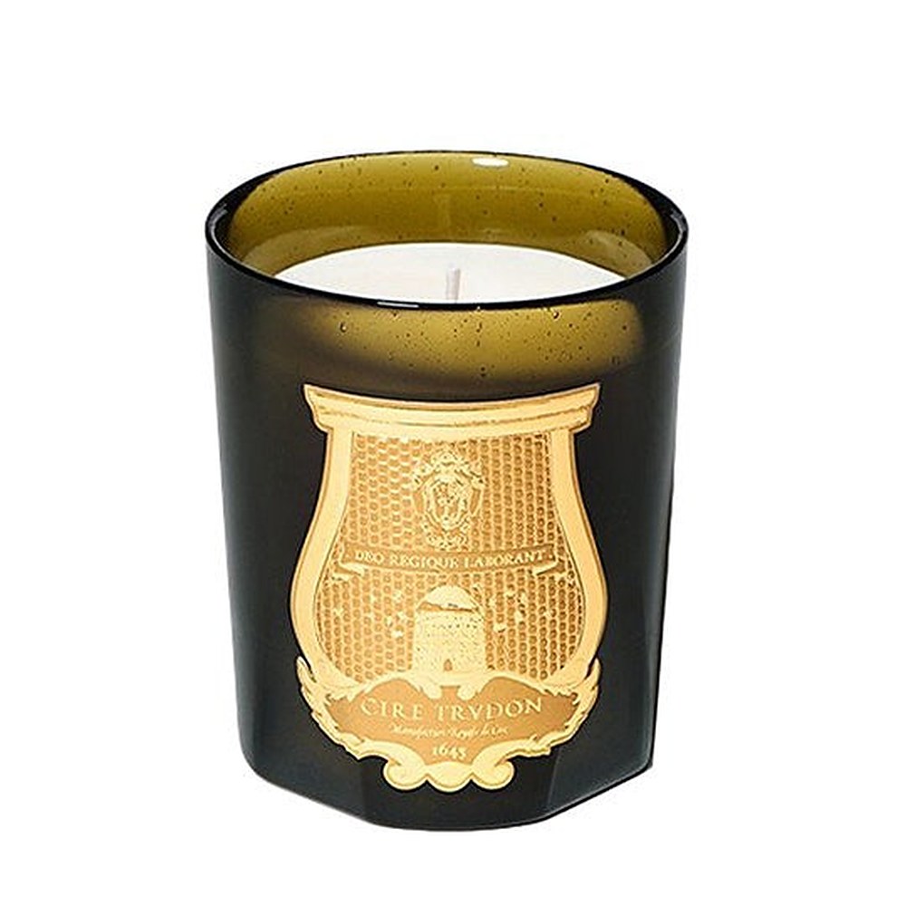 Trudon Spiritus Sancti kynttilä 270g