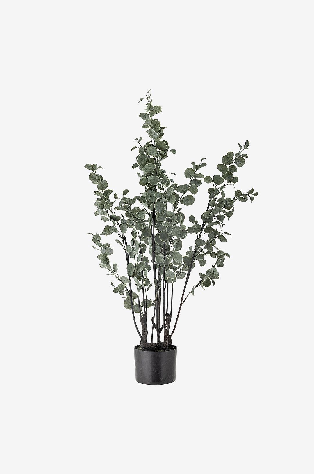 Bloomingville Eucalyptus
