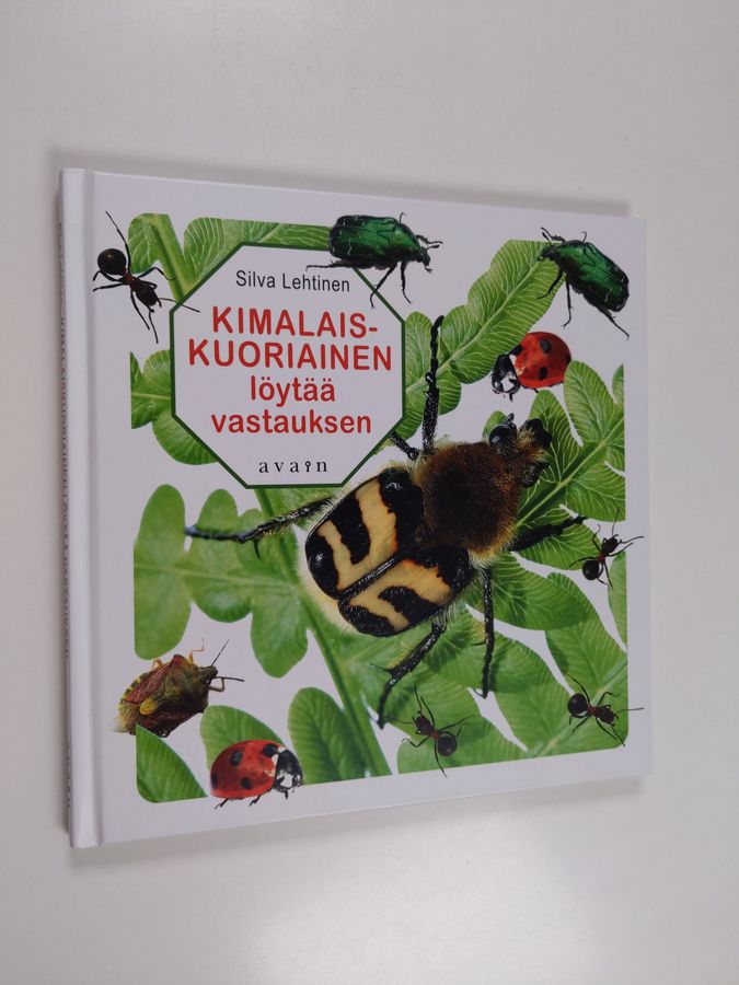 Kimalaiskuoriainen löytää vastauksen