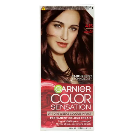 Garnier Color Sensation 4.15 Icy Chestnut Permanent Hair Dye