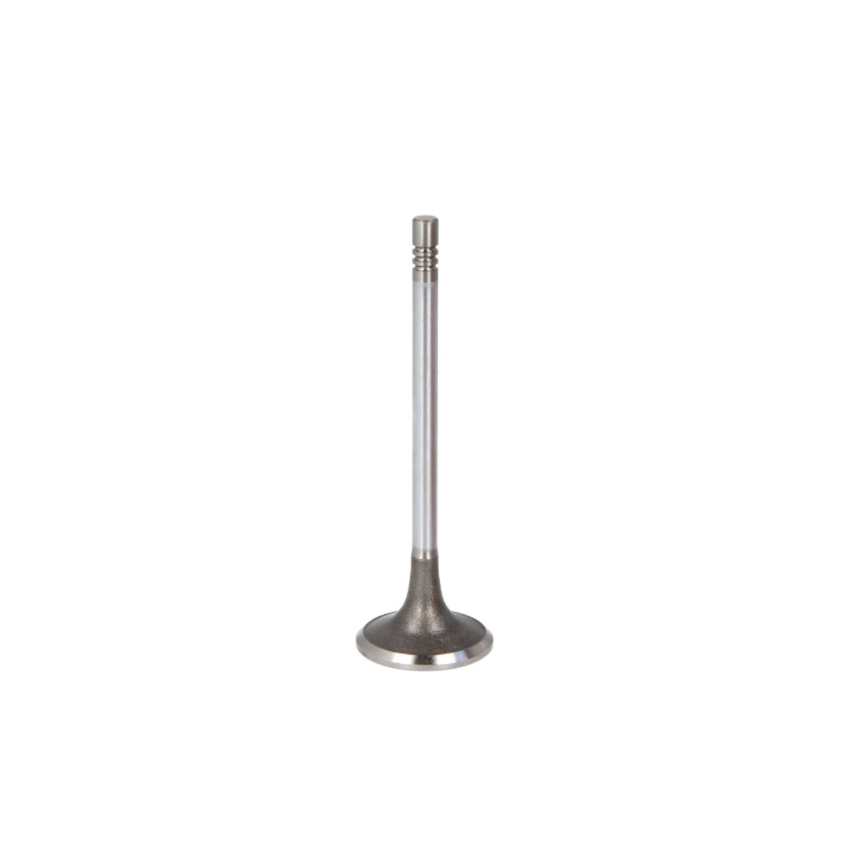 Imuventtiili FRECCIA R6713/SCR