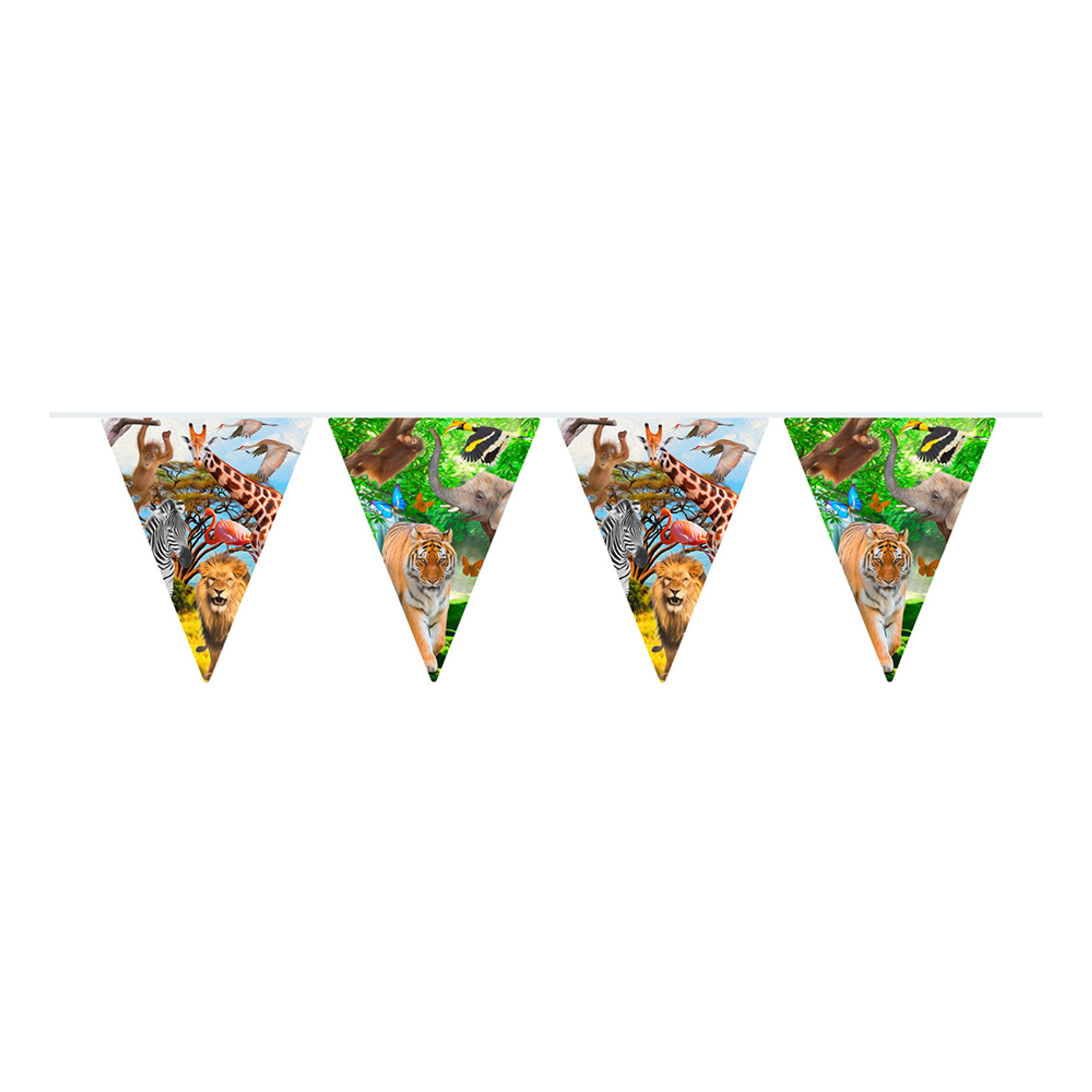 Viirinauha Safari Party